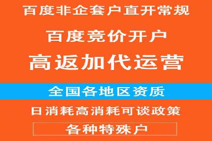 XX行业竞价广告的投放策略与效果分析